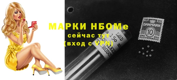 сатива Арсеньев