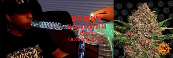 сатива Арсеньев