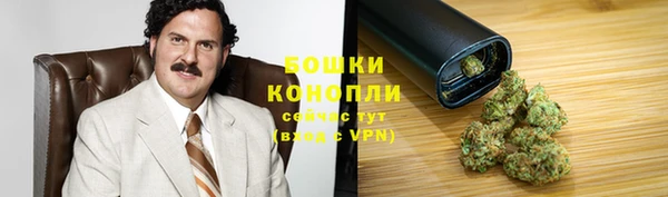 сатива Арсеньев
