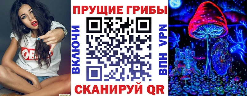 blacksprut tor  Верхнеуральск  Галлюциногенные грибы Psilocybine cubensis 